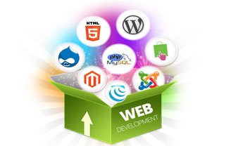 Web Development